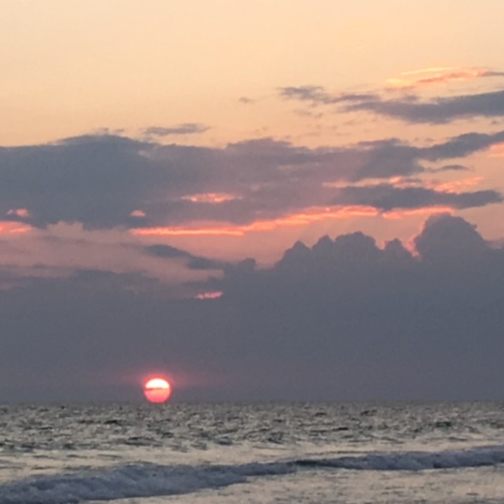 Meet your Posher, Addison